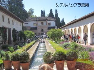 写真5