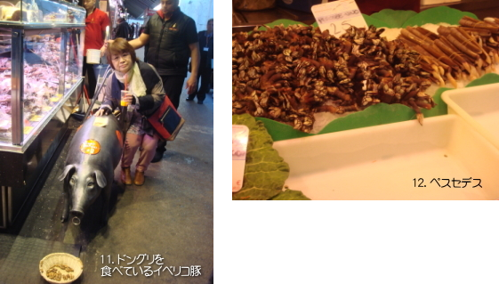 写真1１・12