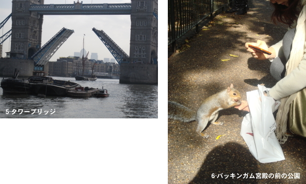 写真５・6
